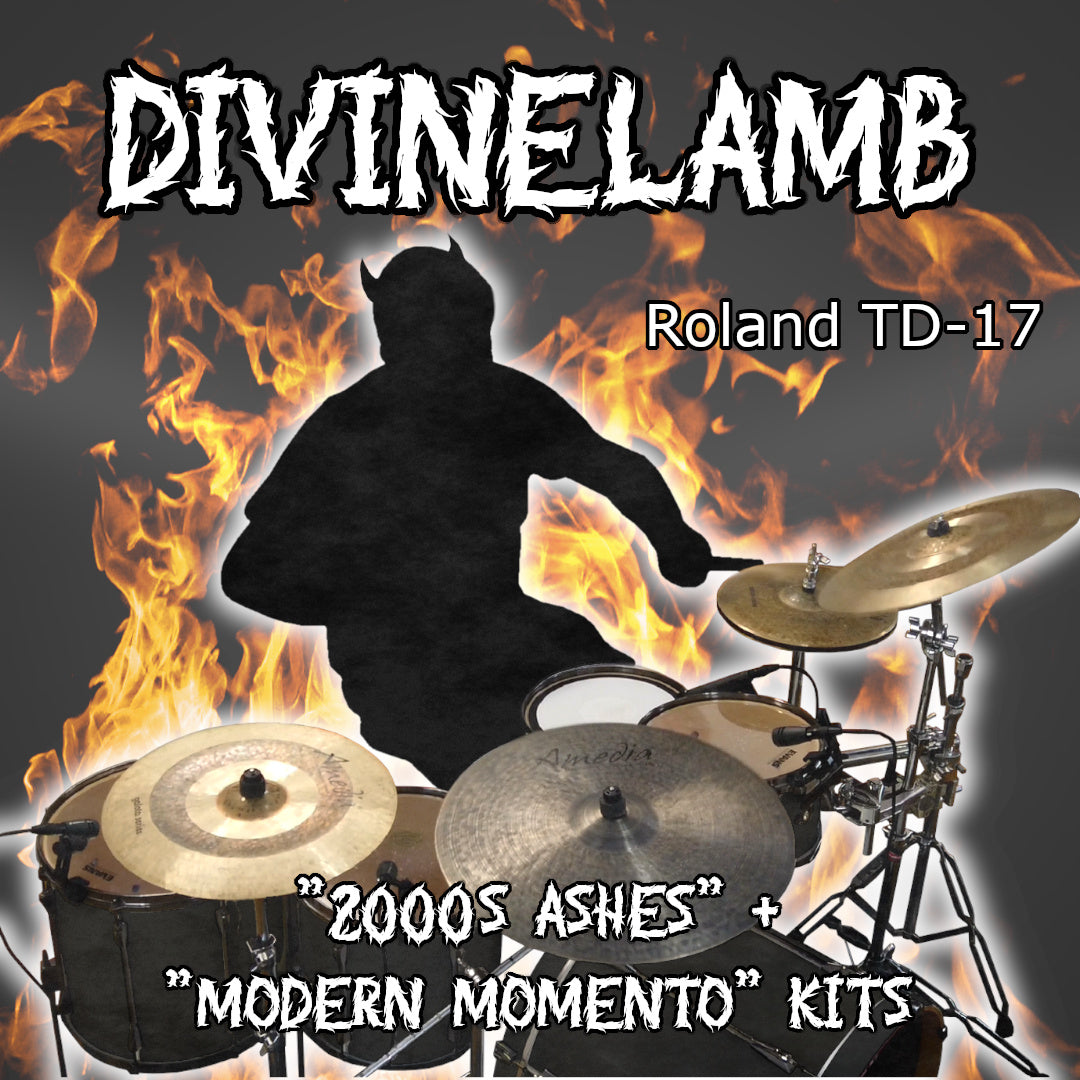 DivineLamb | Roland TD-17