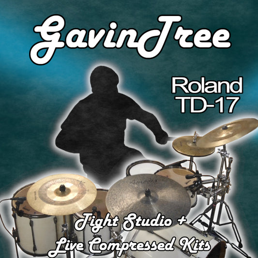 GavinTree | Roland TD-17