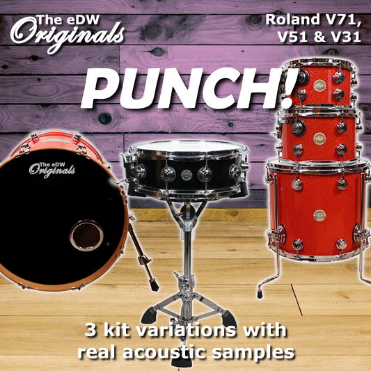 PUNCH! | Roland V71 V51 & V31