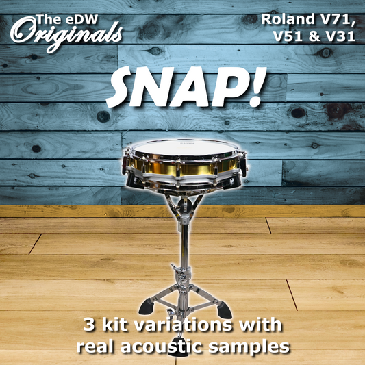 SNAP! | Roland V71 V51 & V31