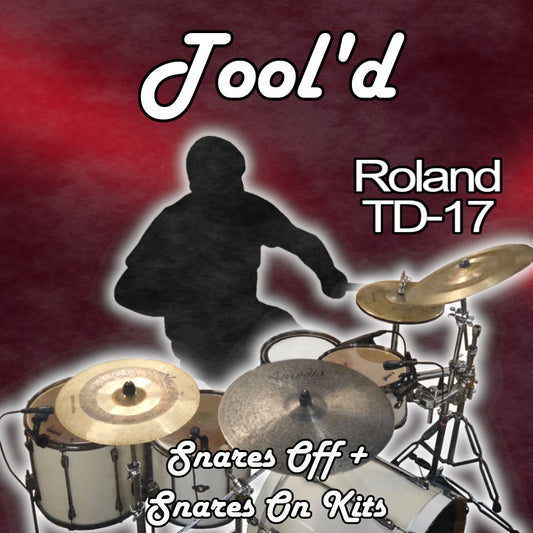 Tool'd | Roland TD-17