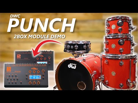 PUNCH | Instruments & Kits for 2Box DrumIt 5 & 3 – The eDrum Workshop