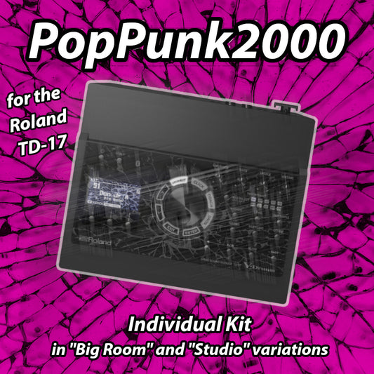 PopPunk2000 | Roland TD-17