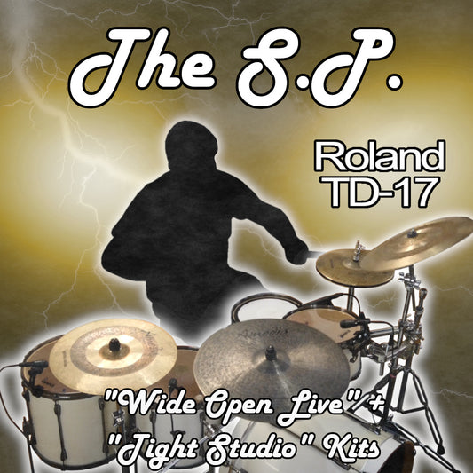The S.P. | Roland TD-17